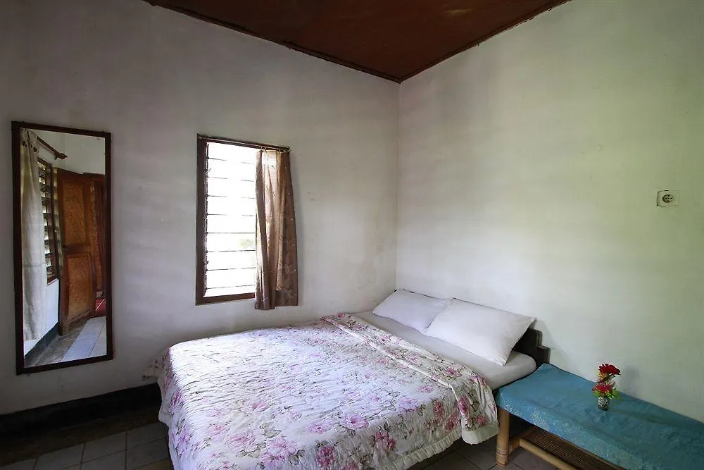 بيت ضيافة Citrus Tree B&B - Shana أوبود إندونيسيا