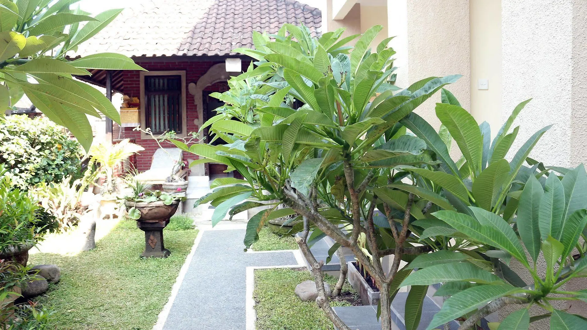 Citrus Tree B&B - Shana أوبود بيت ضيافة