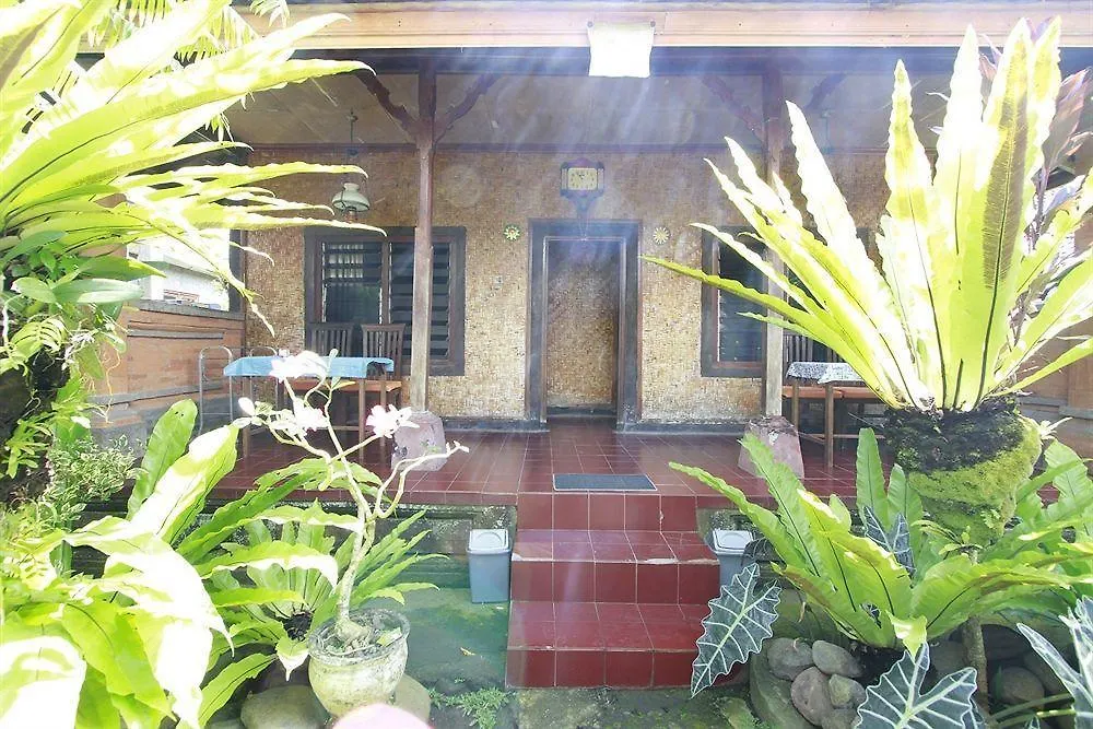Citrus Tree B&B - Shana Ubud  0*, Ubud (Bali) Indonesia